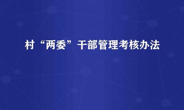 村“两委”干部管理考核办法