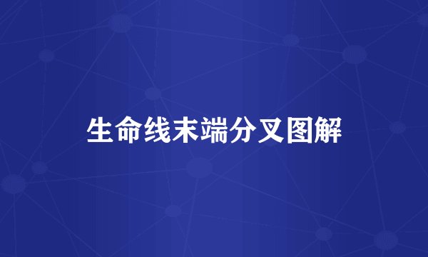 生命线末端分叉图解