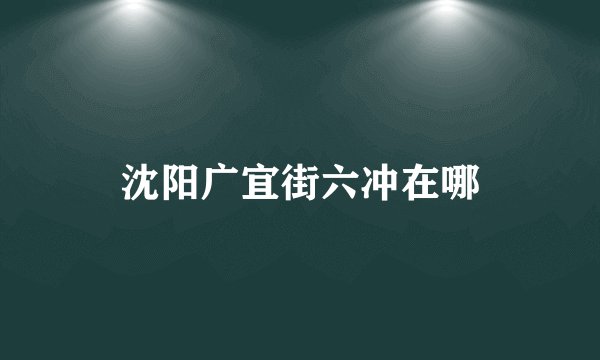 沈阳广宜街六冲在哪