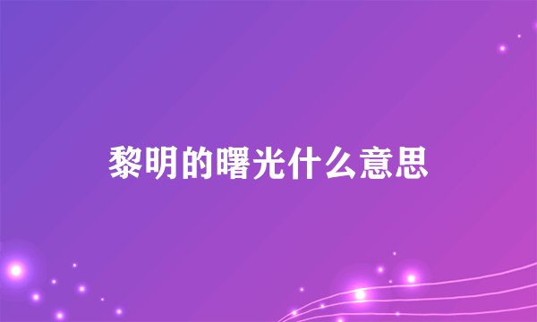 黎明的曙光什么意思