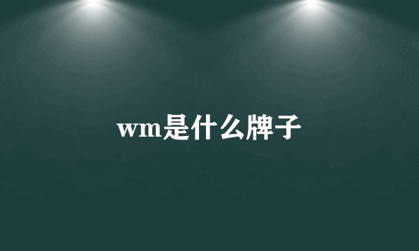 wm是什么牌子