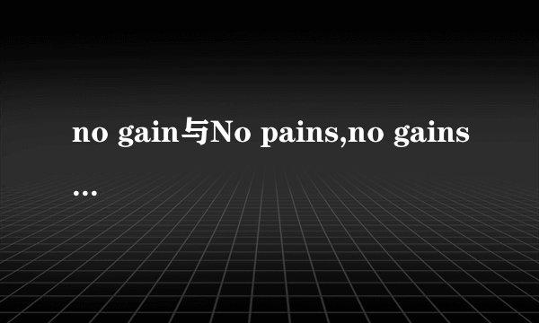 no gain与No pains,no gains有何区别