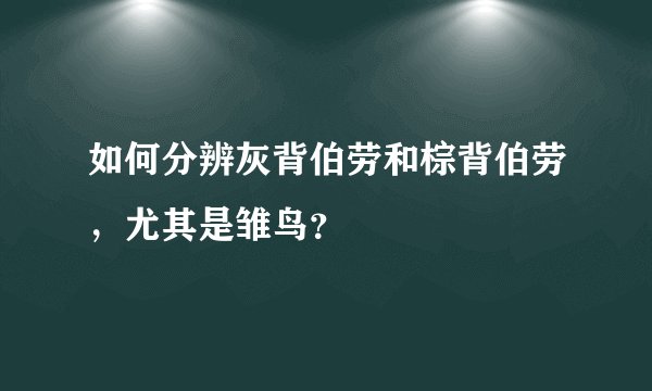 如何分辨灰背伯劳和棕背伯劳，尤其是雏鸟？
