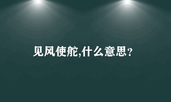 见风使舵,什么意思？