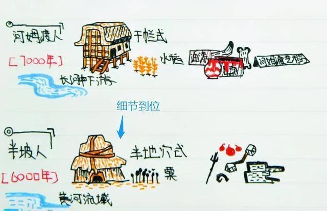 河姆渡人和半坡人的区别是什么?