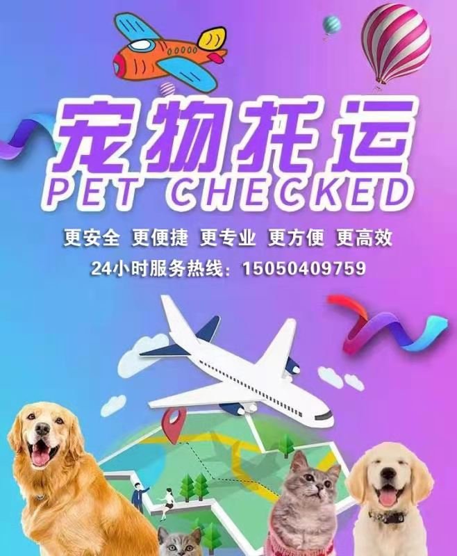 宠物托运公司有哪些靠谱的推荐？
