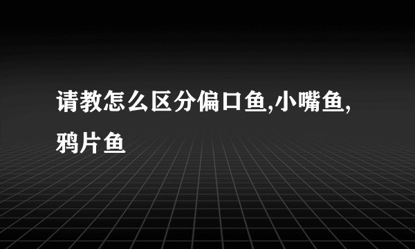 请教怎么区分偏口鱼,小嘴鱼,鸦片鱼
