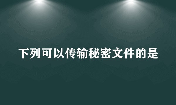 下列可以传输秘密文件的是