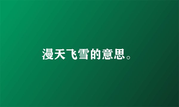 漫天飞雪的意思。