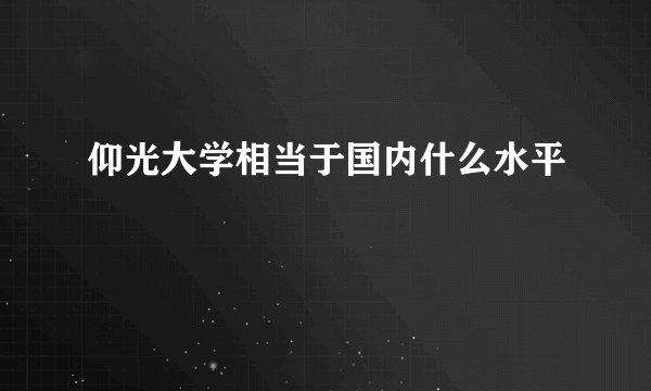 仰光大学相当于国内什么水平