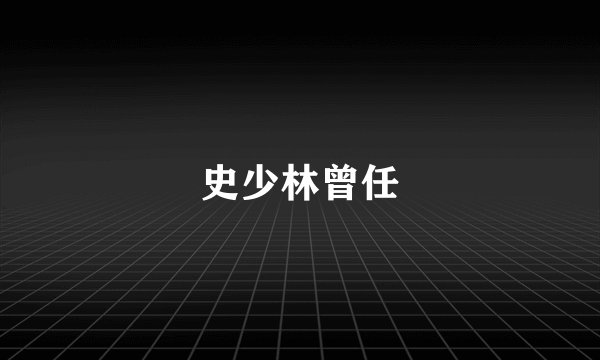 史少林曾任