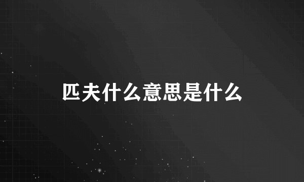 匹夫什么意思是什么