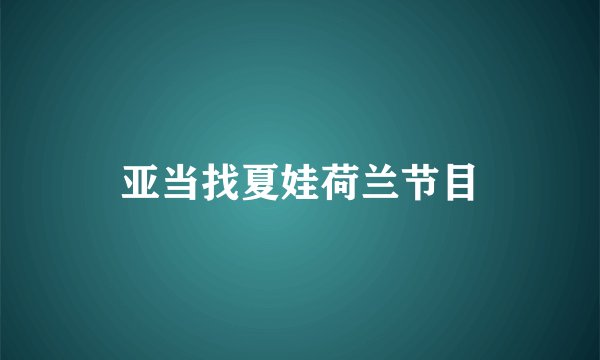 亚当找夏娃荷兰节目