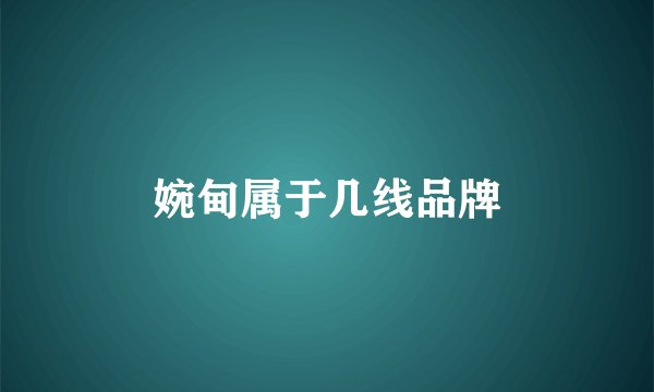 婉甸属于几线品牌