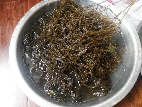 海麻线尽量少吃的原因