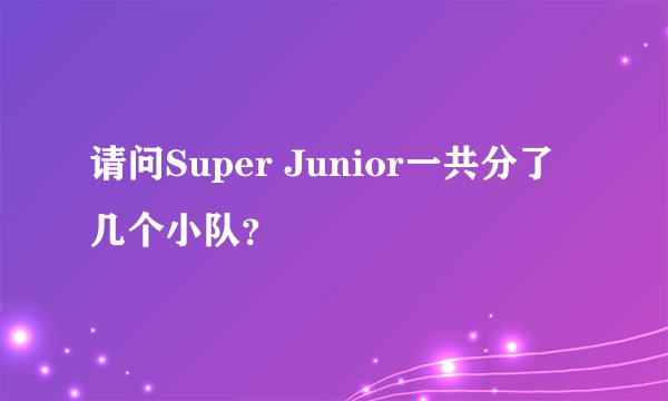 请问Super Junior一共分了几个小队？