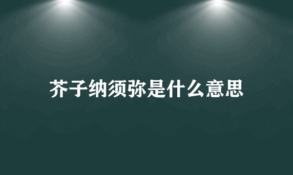 芥子纳须弥是什么意思