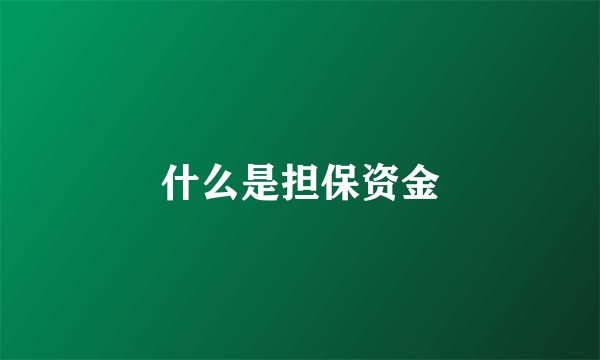 什么是担保资金