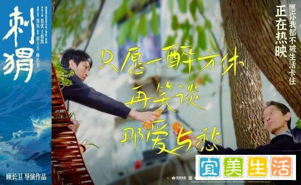 《刺猬》：人生被卡住并不可怕，看周正如何破局，找到自我