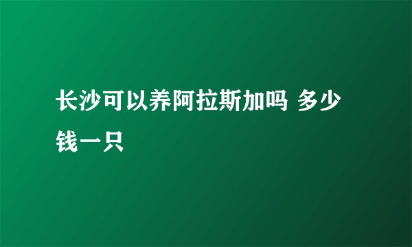 长沙可以养阿拉斯加吗 多少钱一只