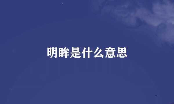 明眸是什么意思