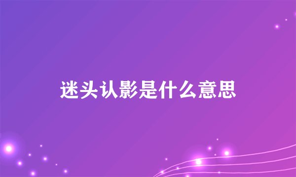 迷头认影是什么意思