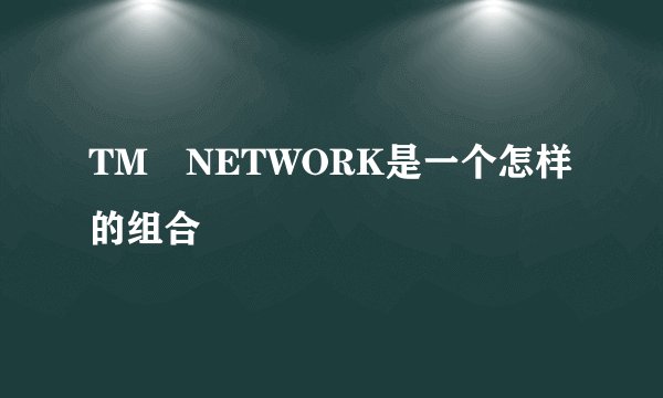 TM NETWORK是一个怎样的组合
