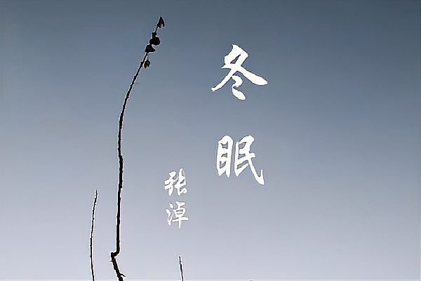 好听的网络歌曲100首