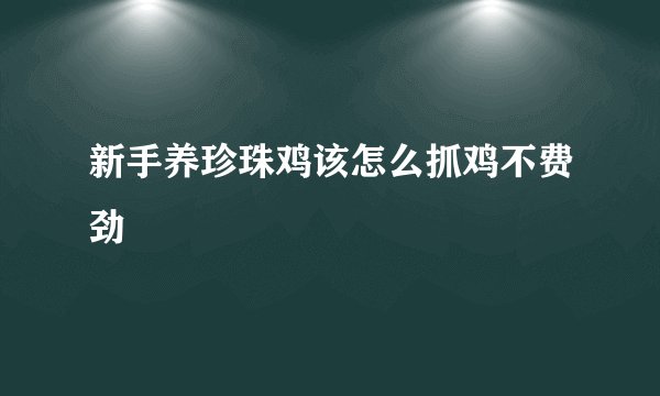 新手养珍珠鸡该怎么抓鸡不费劲