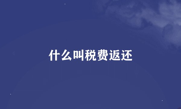 什么叫税费返还
