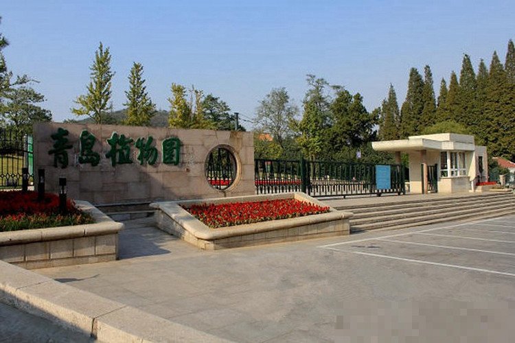 青岛植物园哪个门是正门
