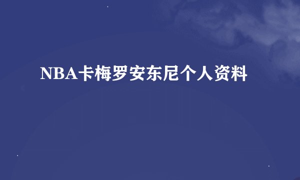NBA卡梅罗安东尼个人资料