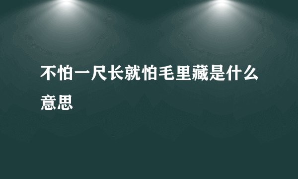 不怕一尺长就怕毛里藏是什么意思姤
