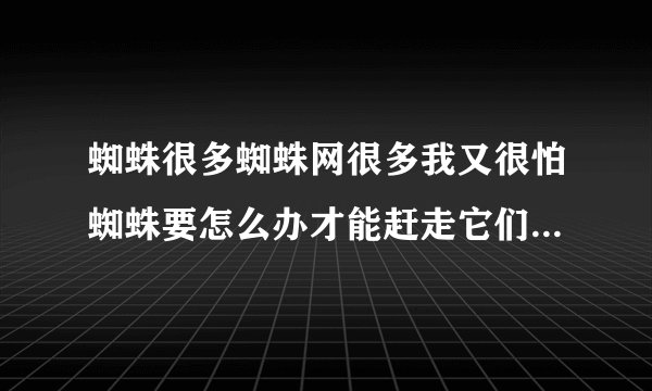 蜘蛛很多蜘蛛网很多我又很怕蜘蛛要怎么办才能赶走它们啊？拜托了各位 谢谢