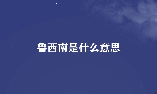 鲁西南是什么意思