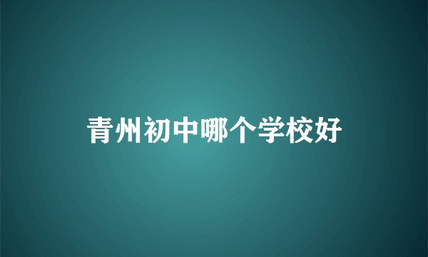 青州初中哪个学校好