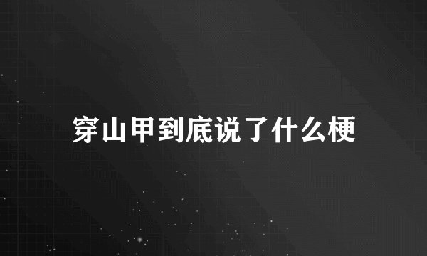 穿山甲到底说了什么梗