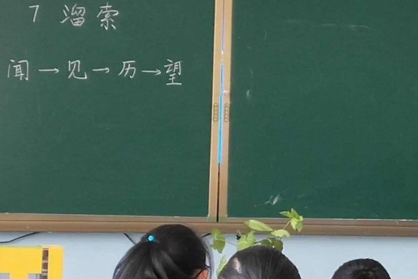 可见一斑什么意思?