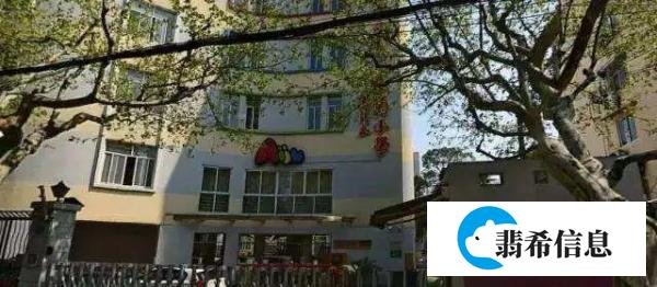 爱菊小学｜大概是上海最好的艺术类小学