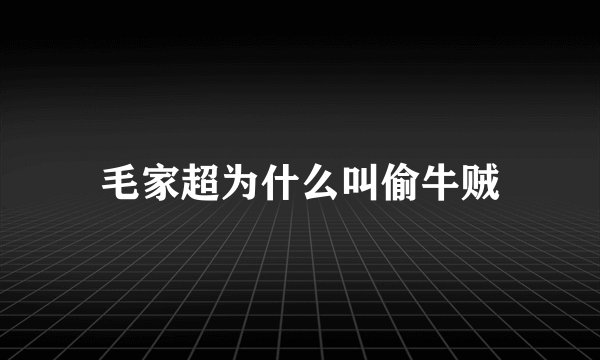 毛家超为什么叫偷牛贼