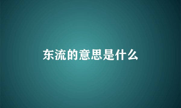 东流的意思是什么
