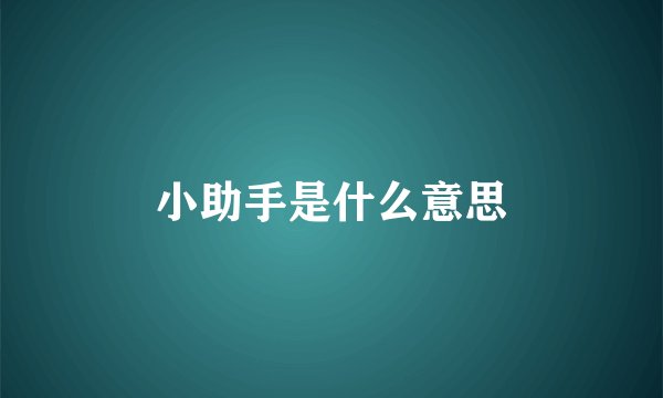 小助手是什么意思