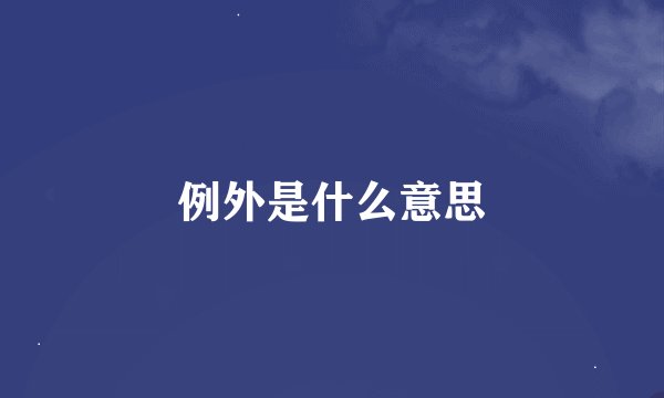 例外是什么意思