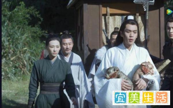《雪中悍刀行》:两只虎夔被徐凤年收养,可是后来纷纷送人