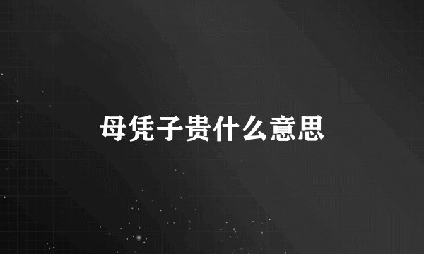 母凭子贵什么意思