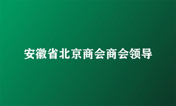 安徽省北京商会商会领导