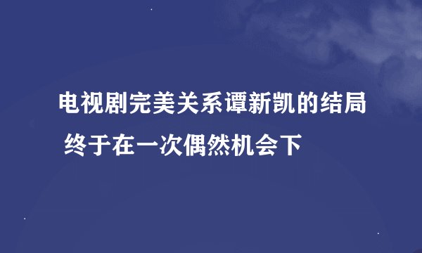 电视剧完美关系谭新凯的结局 终于在一次偶然机会下