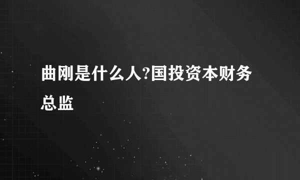 曲刚是什么人?国投资本财务总监