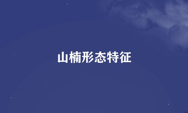 山楠形态特征