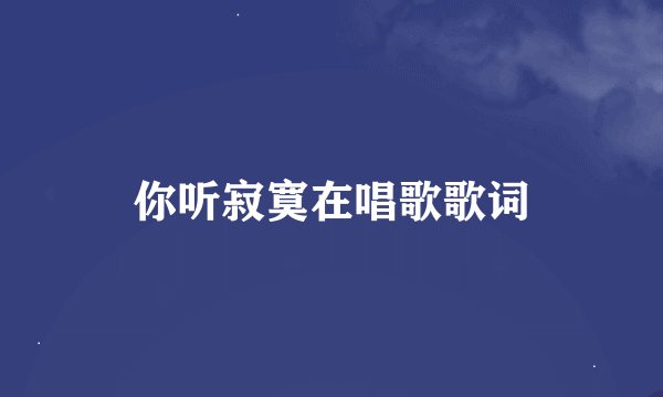 你听寂寞在唱歌歌词